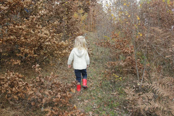 Visão Traseira Anos Idade Adorável Menina Loira Andando Floresta Outono — Fotografia de Stock