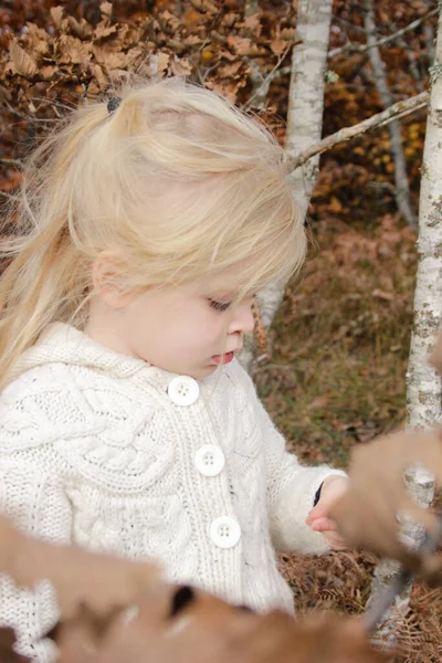 Retrato Livre Anos Adorável Menina Loira Floresta Outono — Fotografia de Stock