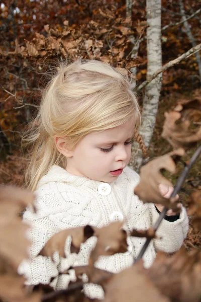 屋外ポートレートの3歳かわいいですブロンド女の子で秋の森 — ストック写真