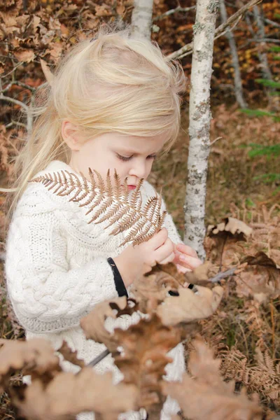 Retrato Livre Anos Adorável Menina Loira Floresta Outono — Fotografia de Stock