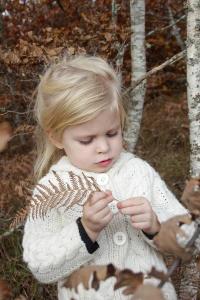 Retrato Livre Anos Adorável Menina Loira Floresta Outono — Fotografia de Stock