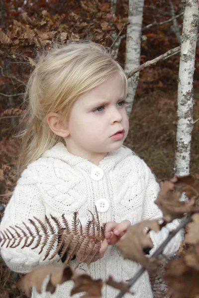 Retrato Livre Anos Adorável Menina Loira Floresta Outono — Fotografia de Stock