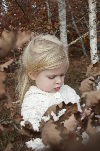 Открытый Портрет Летней Очаровательной Блондинки Осеннем Лесу — стоковое фото