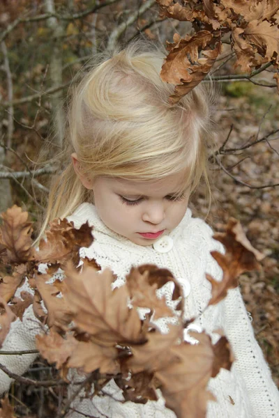 Outdoor Portrait Years Old Adorable Blonde Girl Autumn Forest — Stock Photo, Image