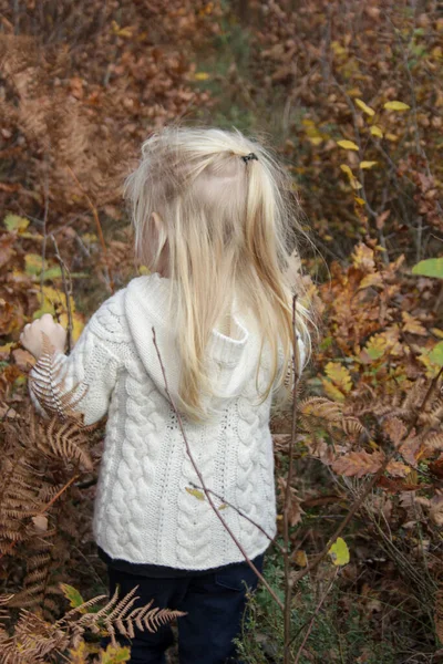 Retrato Livre Anos Adorável Menina Loira Floresta Outono — Fotografia de Stock