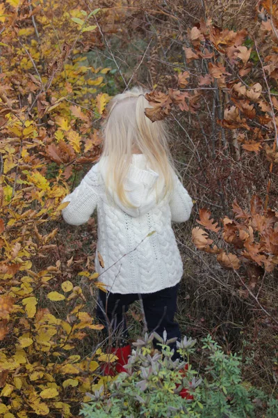 Visão Traseira Anos Idade Adorável Menina Loira Andando Floresta Outono — Fotografia de Stock