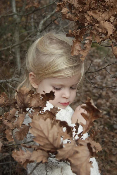 Открытый Портрет Летней Очаровательной Блондинки Осеннем Лесу — стоковое фото