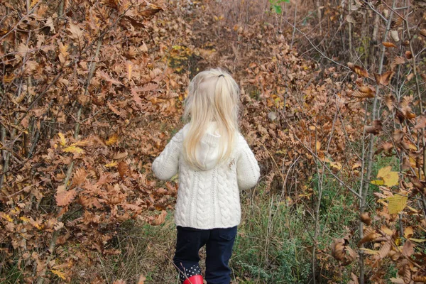 Visão Traseira Anos Idade Adorável Menina Loira Andando Floresta Outono — Fotografia de Stock