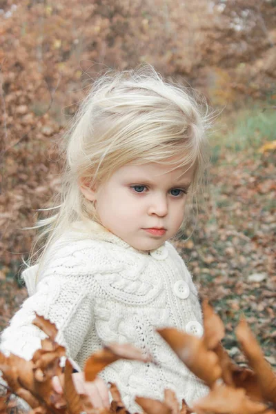 Retrato Livre Anos Adorável Menina Loira Floresta Outono — Fotografia de Stock