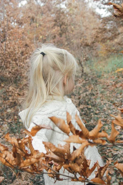 Venkovní Portrét Let Rozkošné Blondýny Dívka Podzimním Lese — Stock fotografie