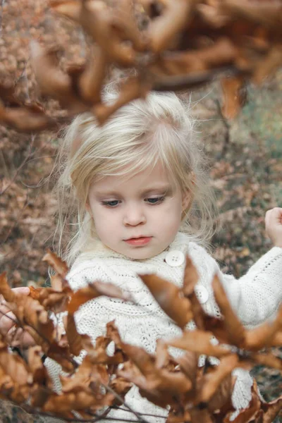 Retrato Livre Anos Adorável Menina Loira Floresta Outono — Fotografia de Stock