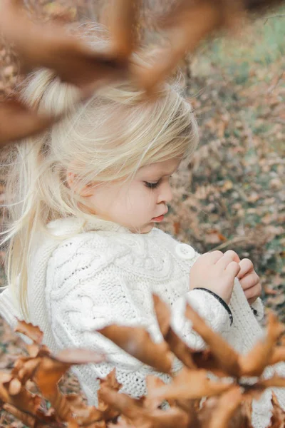 秋天森林里3岁可爱的金发姑娘的户外肖像 — 图库照片