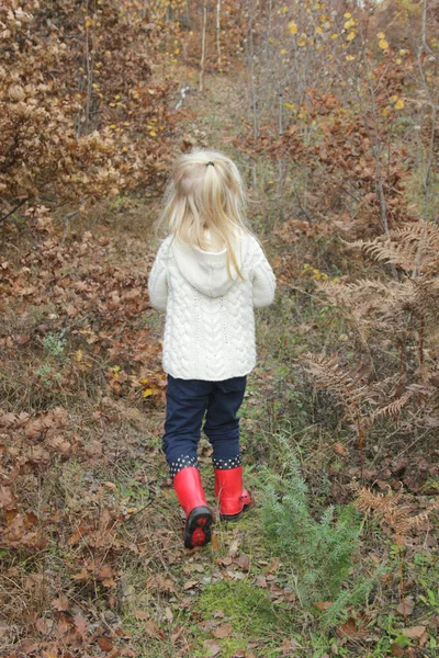 Yaşındaki Sevimli Sarışın Kızın Sonbahar Ormanında Yürüyüşünün Arkası — Stok fotoğraf