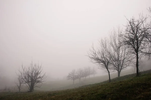 Kırsal Alanda Sonbahar Sabah Sisli Manzarası — Stok fotoğraf