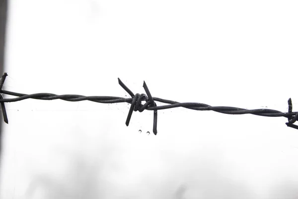 Barbed Wire Grey Foggy Sky Access Trespassing Freedom Concept — Stock Photo, Image