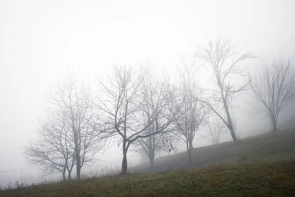 Kırsal Alanda Sonbahar Sabah Sisli Manzarası — Stok fotoğraf