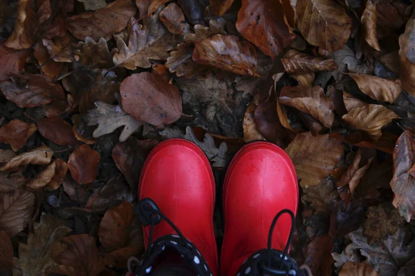 Vista Superior Das Botas Vermelhas Borracha Criança Floresta Outono — Fotografia de Stock