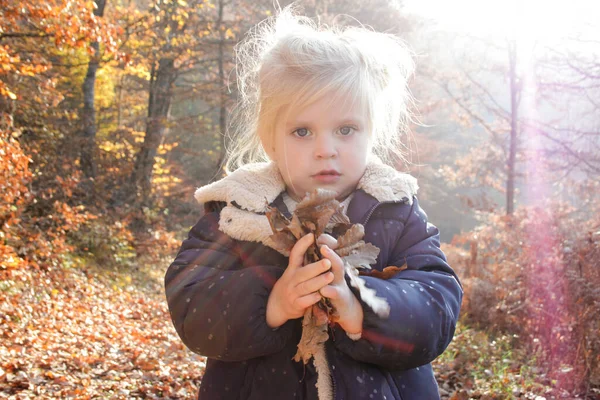 Küçük Tatlı Sarışın Kızın Sonbahar Portresi — Stok fotoğraf