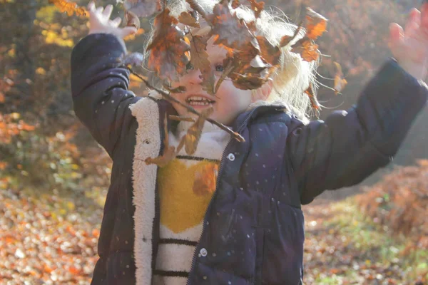 Autumn Portrait Cute Blonde Toddler Girl — Stock Photo, Image