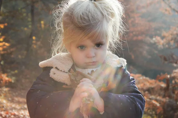 Herbst Porträt Von Niedlichen Blonden Kleinkind Mädchen — Stockfoto