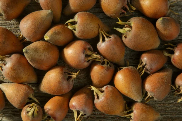 Common Medlar Fruits Table — Stock Photo, Image