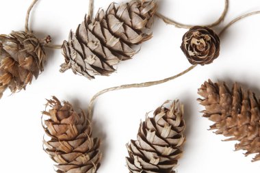 Beyaz üzerine sade ve doğal kozalak çelengi. Bütçe dostu DIY dekorasyon fikirleri düştü. 