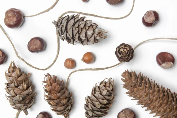 Guirlanda Pinecone Simples Natural Branco Orçamento Amigável Diy Cair Ideias — Fotografia de Stock