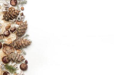 Yapraklı, kestaneli, meşe palamutlu sonbahar arkaplanı, kopyalanmış beyaz üzerine çam kozalağı.