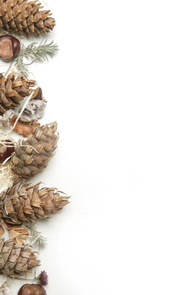 Herbst Hintergrund Mit Blättern Kastanien Eicheln Tannenzapfen Auf Weiß Mit — Stockfoto