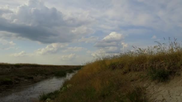 Stop Motion Video White Fluffy Clouds Moving Meadow Little Stream 图库视频片段