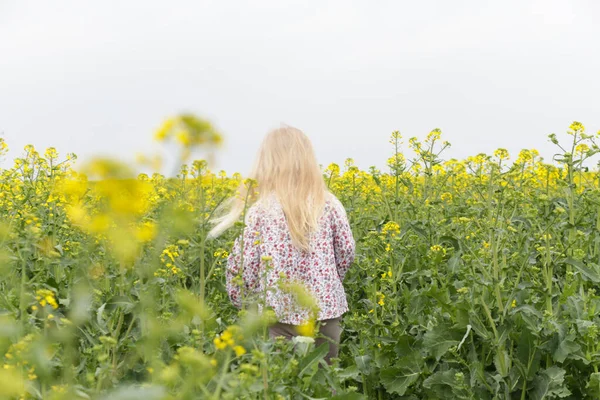 Draußen Freimütig Porträt Von Niedlichen Blonden Mädchen Feld Der Gelben — Stockfoto