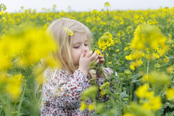 Utomhus Uppriktigt Porträtt Söt Blond Flicka Fält Gula Blommor — Stockfoto