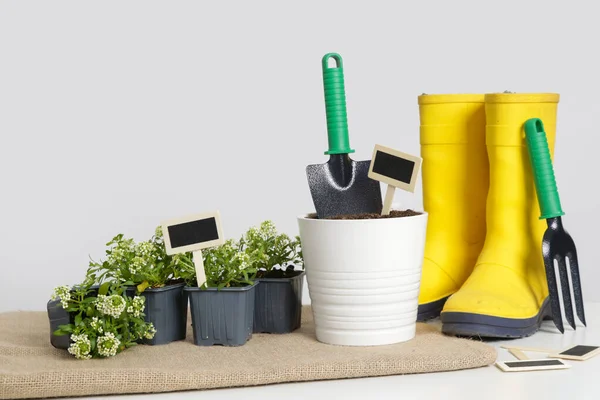 Ferramentas Jardinagem Plantas Flores Vasos Pequenos Prontos Para Transplante Tiro — Fotografia de Stock