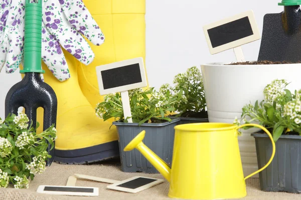 Tuingereedschap Planten Bloemen Kleine Potten Klaar Voor Transplantatie Studio Shot — Stockfoto