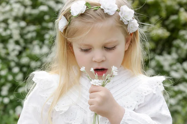 Porträtt Söta Småbarn Flicka Luktar Blommor Solig Sommardag Parken — Stockfoto