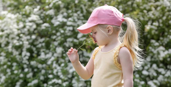 かわいいです幼児の女の子の肖像公園で晴れた夏の日に花を嗅ぐ — ストック写真