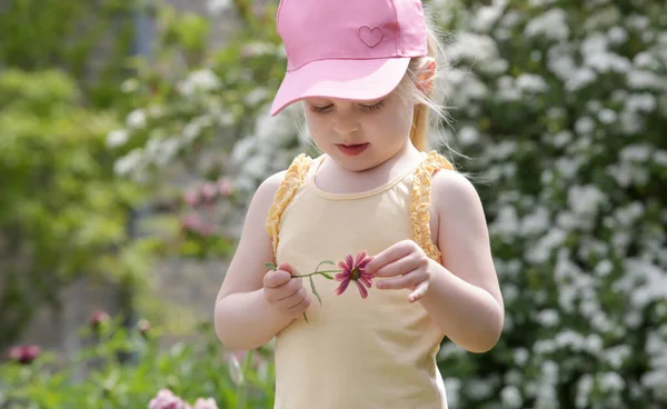Toddler Girl Plays Loves Loves Little Girl Pulling Pedals Flower — Stock Photo, Image