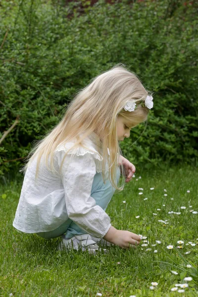 Portrait Cute Toddler Girl Smelling Flowers Sunny Summer Day Park — Stock Photo, Image