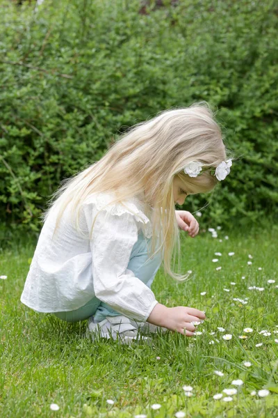 Portrait Cute Toddler Girl Picking Flowers Sunny Summer Day Park — Stockfoto