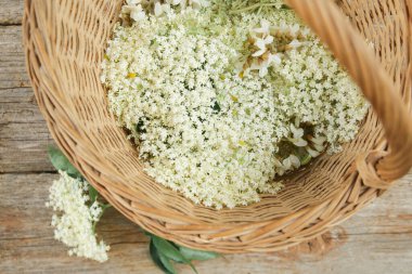 Mürver çiçekleriyle dolu bir sepet..