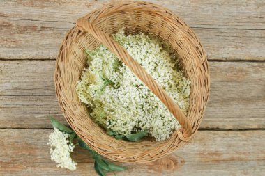 Mürver çiçekleriyle dolu bir sepet..