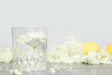 Bir bardak mürver çiçeği suyu.. 