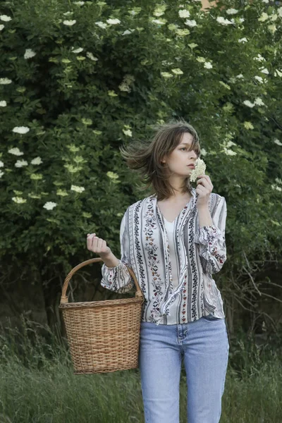 Frau Erntet Holunderblüten Ländlichen Raum — Stockfoto