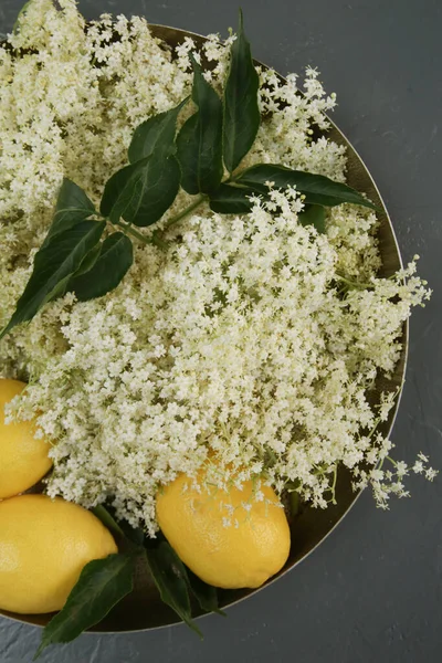 Elderflower Limon Bir Tepside Yaşlı Çiçek Likörü Için Temel Malzemeler — Stok fotoğraf