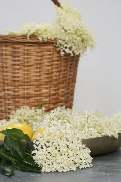 Wicker Basket Full Elderberry Flowers — Stock Photo, Image