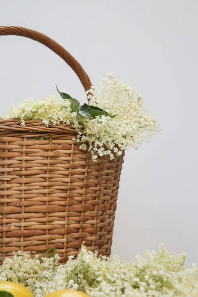 Weidenkorb Voller Holunderblüten — Stockfoto