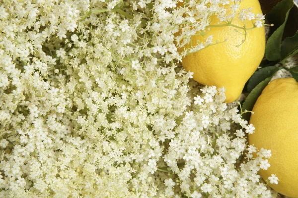 Γηραιά Λουλούδια Και Λεμόνι Ένα Δίσκο Βασικά Συστατικά Για Elderflower — Φωτογραφία Αρχείου