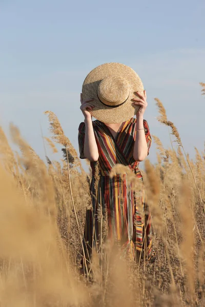 Schöne Frau Gestreiftem Kleid Und Strohhut Steht Auf Der Wiese — Stockfoto