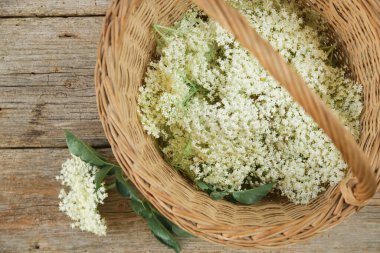 Mürver çiçekleriyle dolu bir sepet..