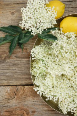 Elderflower ve limon bir tepside. Yaşlı çiçek likörü için temel malzemeler.